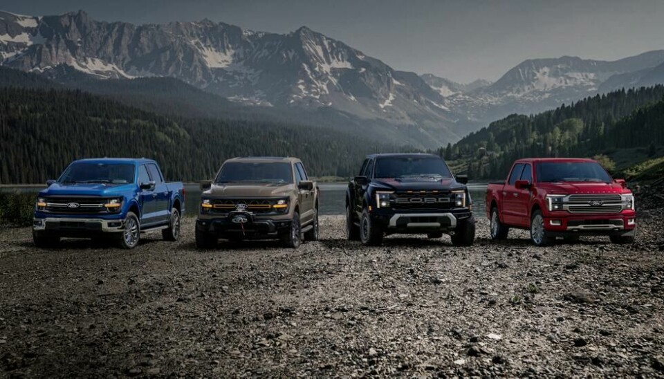 Ford’s F-Series is the best-selling truck line in the United States with 732,139 units selling in 2024 alone Ford F-150 Aluminium