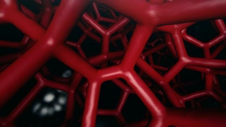 The seat design will also feature panels exposing a view of the 3D-printed structure Porsche 3D PRINTimg_1