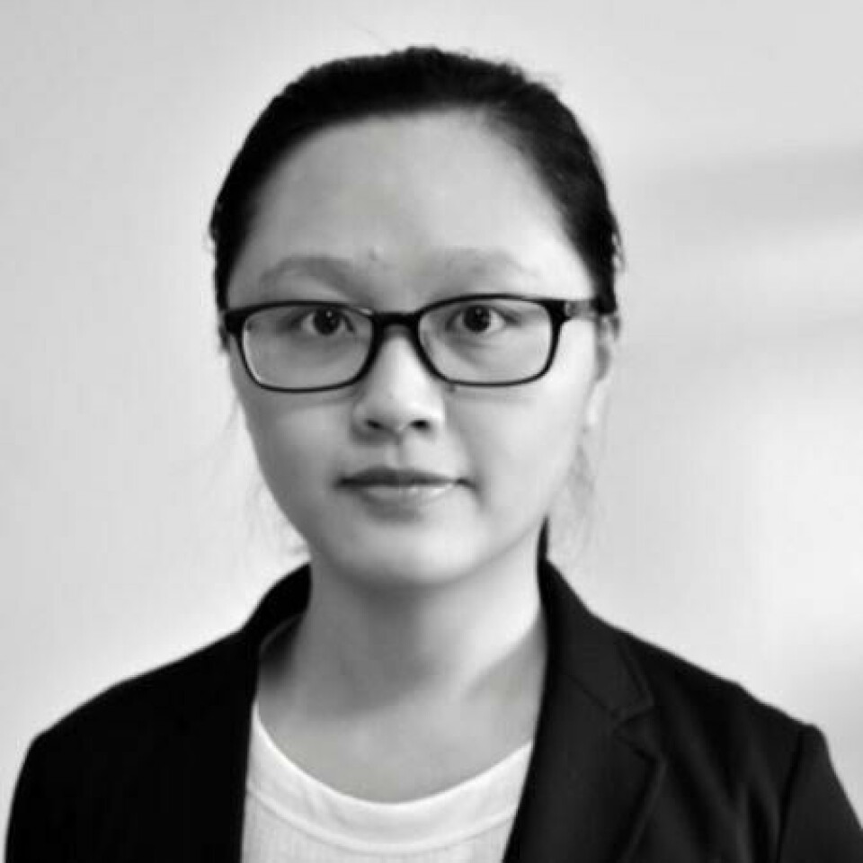 Wenting Hu, lead geometrical architect, Volvo Trucks Wenting Hu, lead geometrical architect, Volvo Trucks