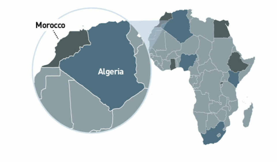 AMS on Africa: Part 1 – Next in line AMS Africa Algeria motif
