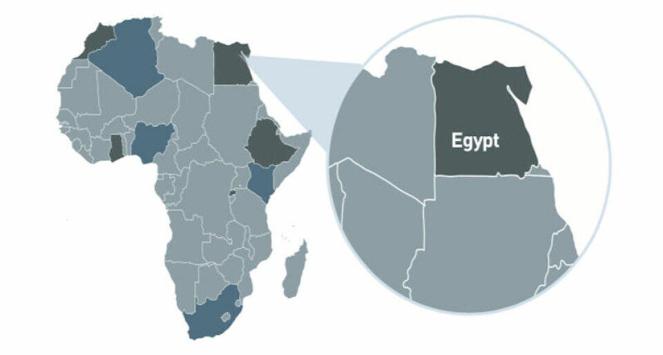AMS on Africa: Part 1 – Next in line AMS Africa Egypt motif