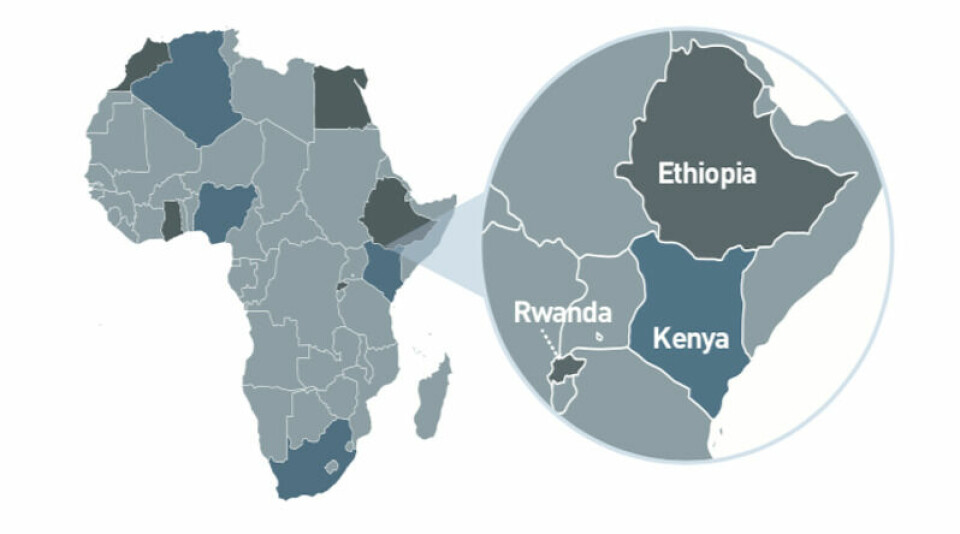 AMS on Africa: Part 1 – Next in line AMS Africa Ethiopia motif