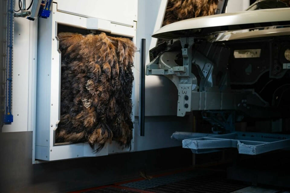 Made of keratin, the same protein found in human hair and nails, the feathers are strong yet flexible. Made of keratin, the same protein found in human hair and nails, the feathers are strong yet flexible.