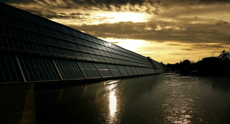 Audi and Ford are in many ways leading the charge in the use of solar renewables for auotmotive production operations across several regions pexels-pixabay-371917