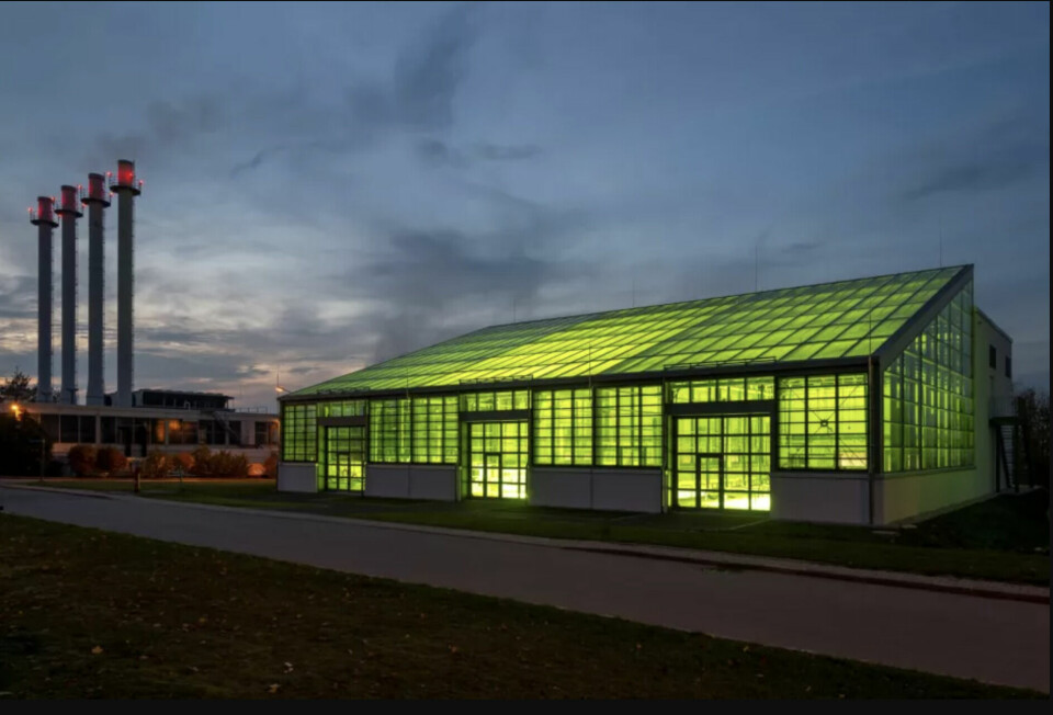 With carbon fibers made from algae, CO2-negative materials could conquer the automotive industry in the future. With carbon fibers made from algae, CO2-negative materials could conquer the automotive industry in the future. (Image: Andreas Heddergott : TUM)
