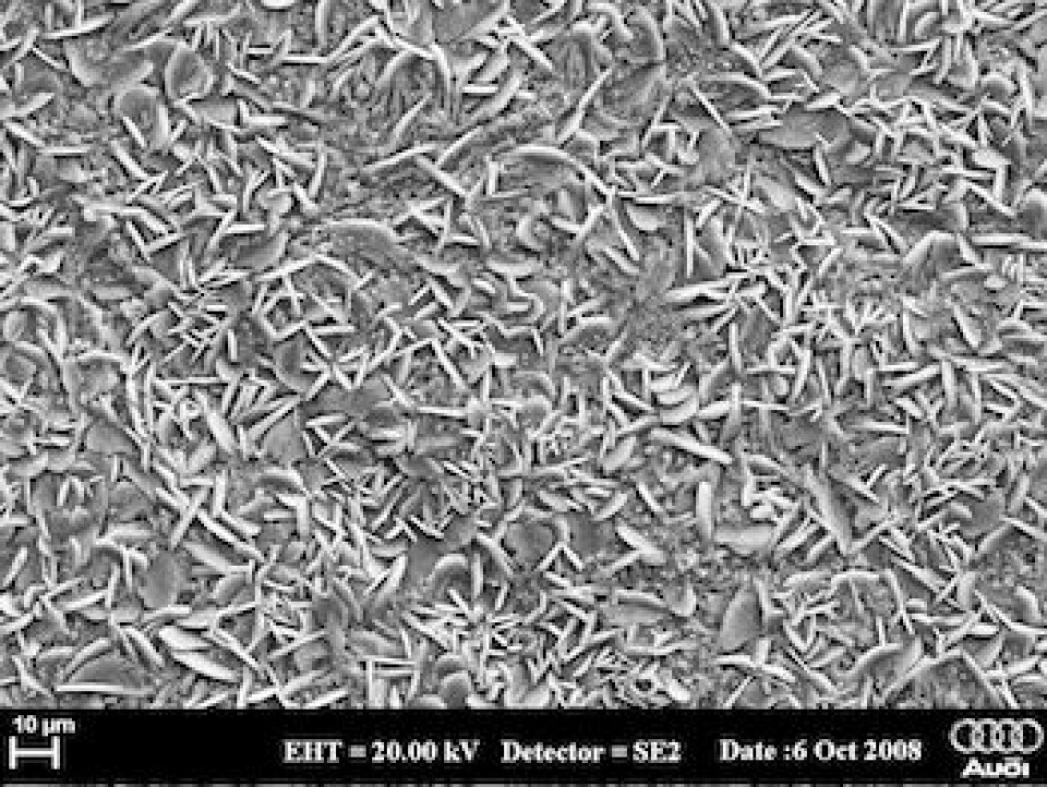 Chemical composition With phosphate, Audi